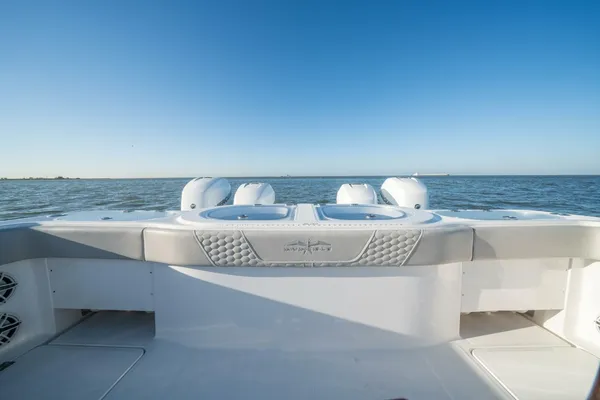 Invincible 46-CATAMARAN image