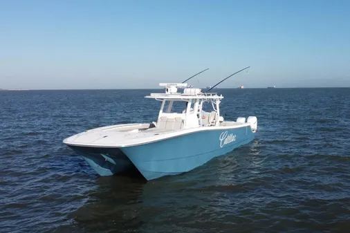 Invincible 46 Catamaran image