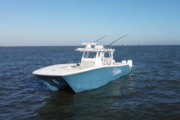 Invincible 46-CATAMARAN image