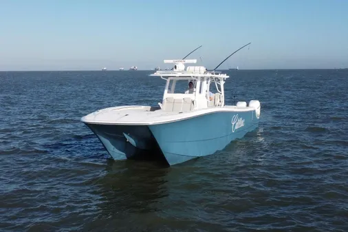 Invincible 46 Catamaran image