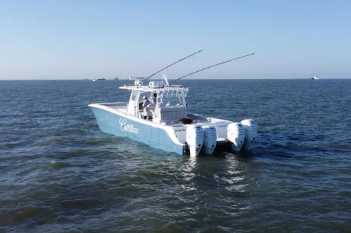 Invincible 46 Catamaran image