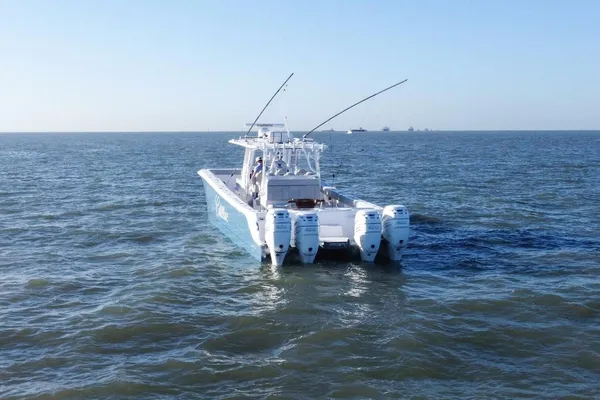 Invincible 46-CATAMARAN image