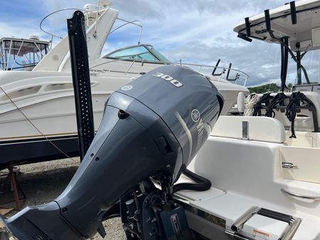 Sea Born LX24 image