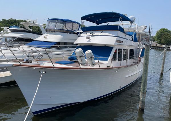 Ocean-alexander 43-FLUSH-AFT-DECK image