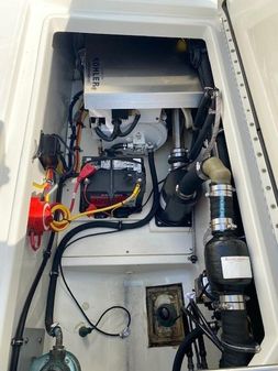 Hydra-Sports 29 VX image