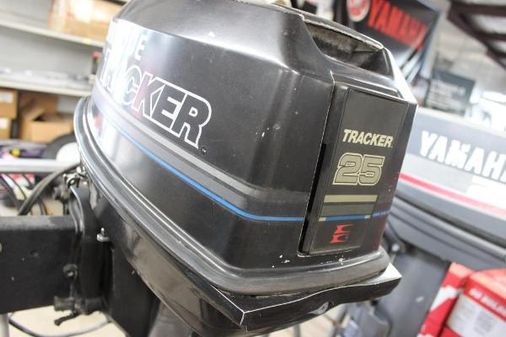 Evinrude TE25ELETC image