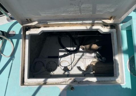 Gulfstar CSY 50 image