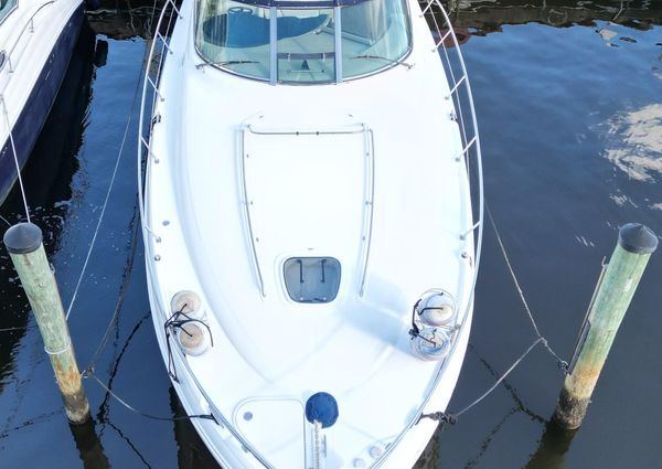 Sea Ray 38 Sundancer image