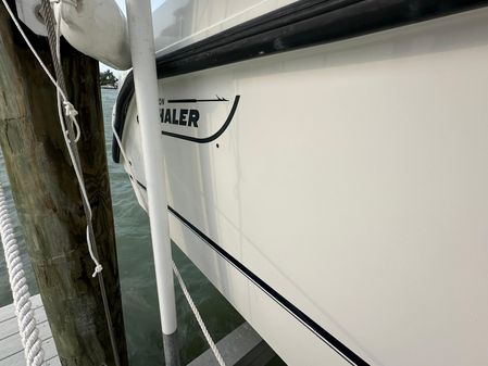 Boston-whaler 255-CONQUEST image