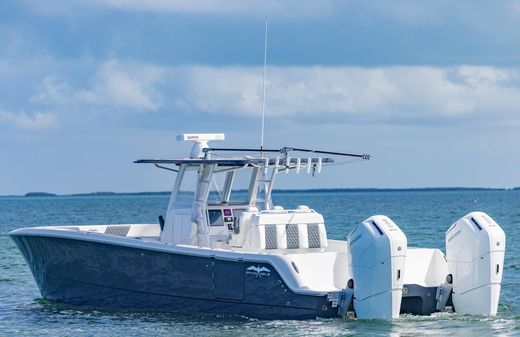 Invincible 35-CATAMARAN image