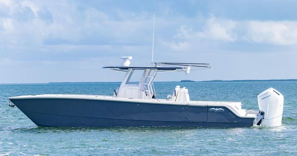 Invincible 35-CATAMARAN image