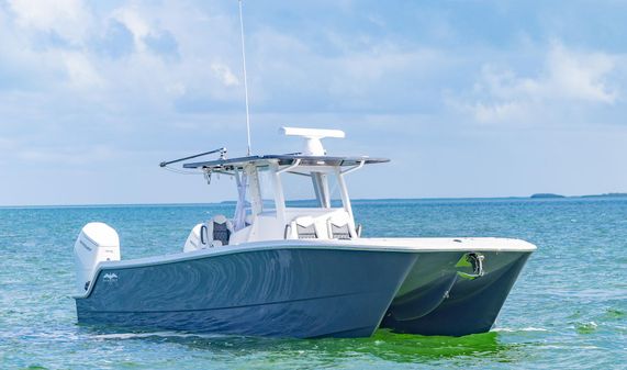 Invincible 35-CATAMARAN image