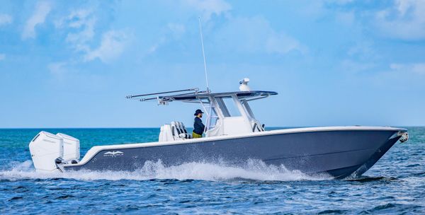 Invincible 35-CATAMARAN image