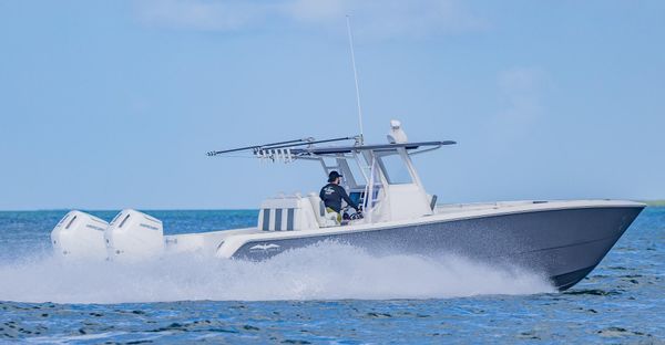 Invincible 35-CATAMARAN image