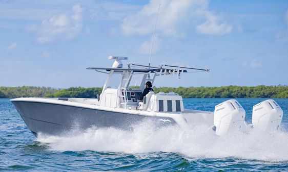 Invincible 35-CATAMARAN image