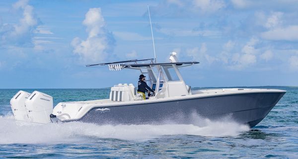 Invincible 35-CATAMARAN image