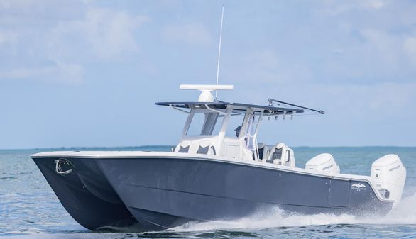 Invincible 35-CATAMARAN image