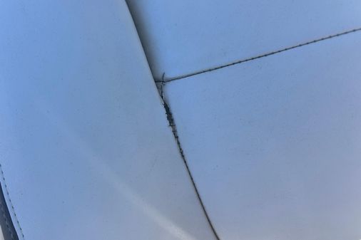 Crevalle 25 Bay image