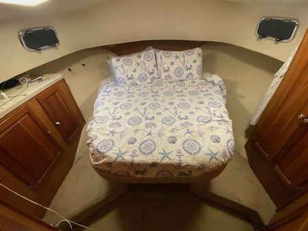Mainship 400 Trawler image