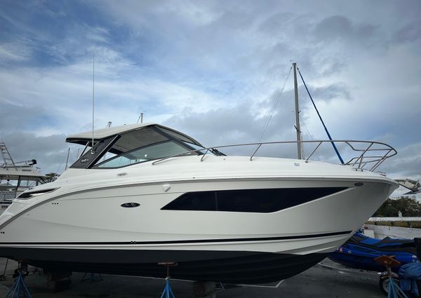 Sea Ray Sundancer 320 image