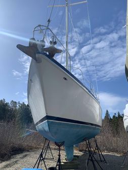 Morgan Catalina 41 image