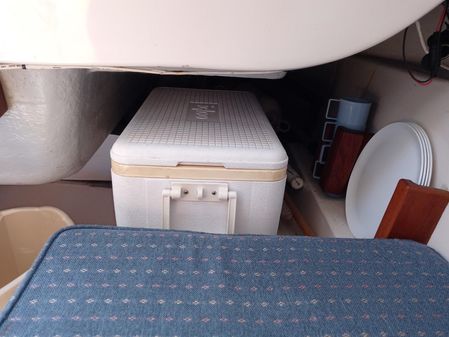 Seaward 23 image