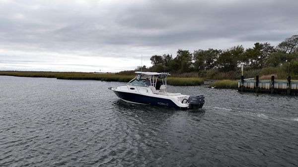 Robalo R265 Walkaround 