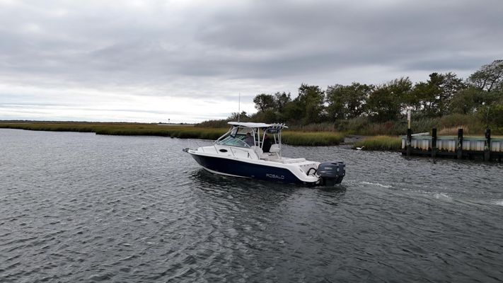 Robalo R265 Walkaround - main image