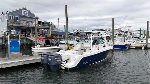 Robalo R265 Walkaround image