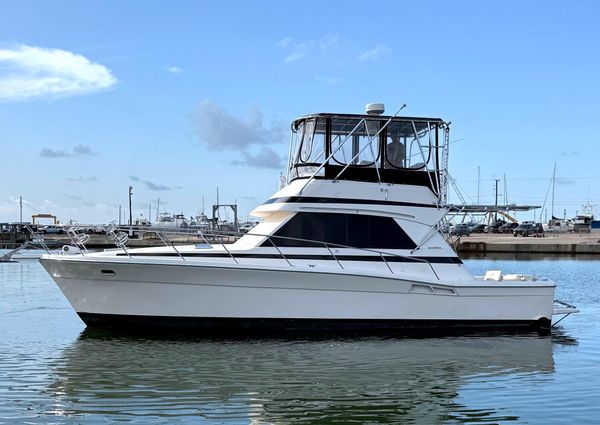 Riviera 39 Open Flybridge image