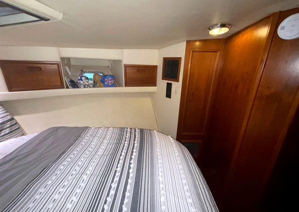 Riviera 39 Open Flybridge image