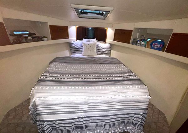 Riviera 39 Open Flybridge image