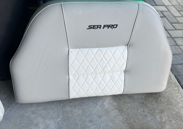 Sea-pro 219-CENTER-CONSOLE image