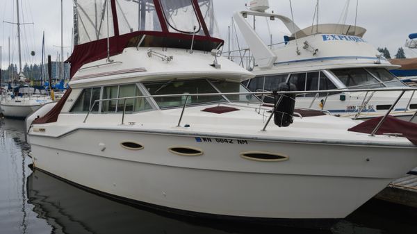 Sea Ray 290 Amberjack 