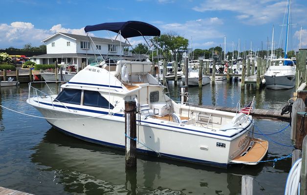 Bertram 28 Flybridge CRUISER - main image