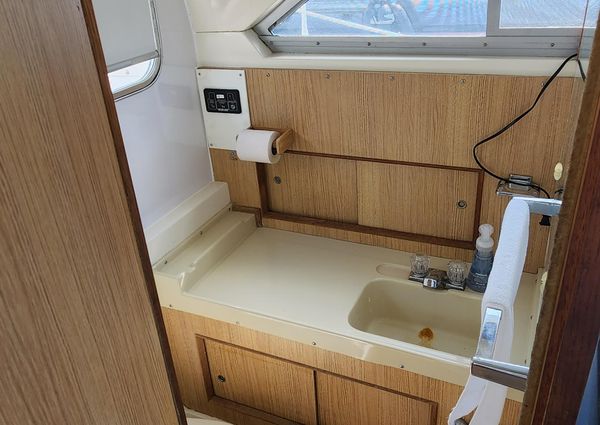 Bertram 28 Flybridge CRUISER image