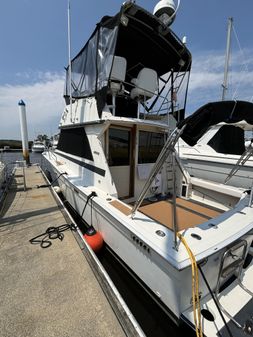 Viking 35 Convertible image