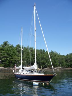 Frers -CIBIL-44-K-CB-KETCH image