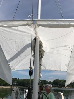 Frers -CIBIL-44-K-CB-KETCH image