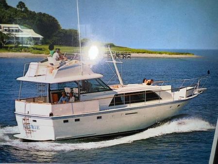 Hatteras 43-DOUBLE-CABIN-MOTORYACHT image