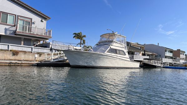 Egg-harbor 43-CONVERTIBLE-SPORT-FISHERMAN image