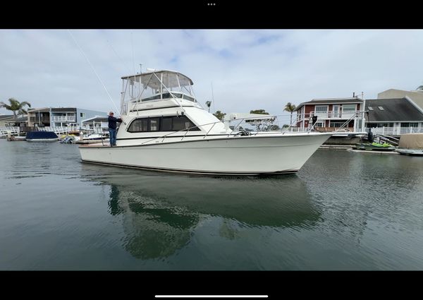 Egg-harbor 43-CONVERTIBLE-SPORT-FISHERMAN image