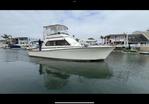 Egg-harbor 43-CONVERTIBLE-SPORT-FISHERMAN image