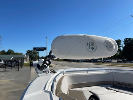 Blackfin 242-CC image