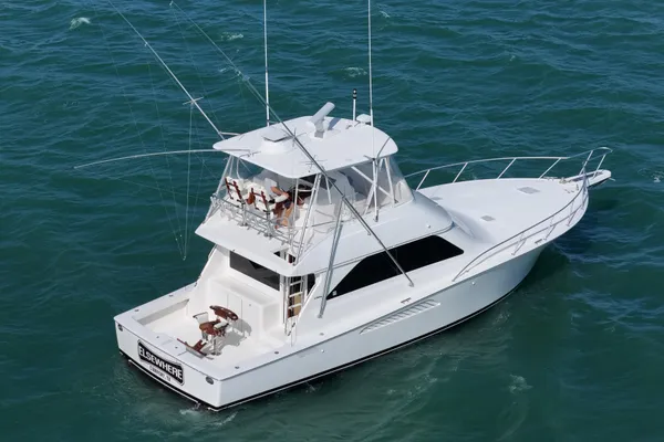 Viking CONVERTIBLE image