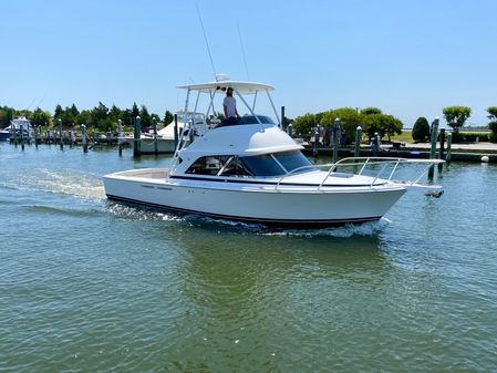 Bertram 35 Flybridge image