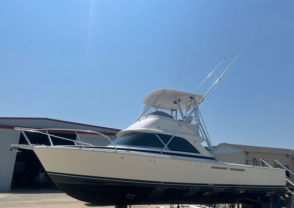 Bertram 35 Flybridge image