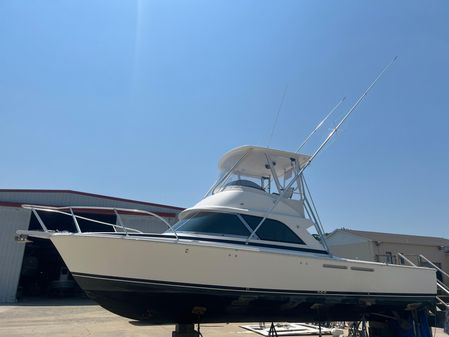 Bertram 35 Flybridge image