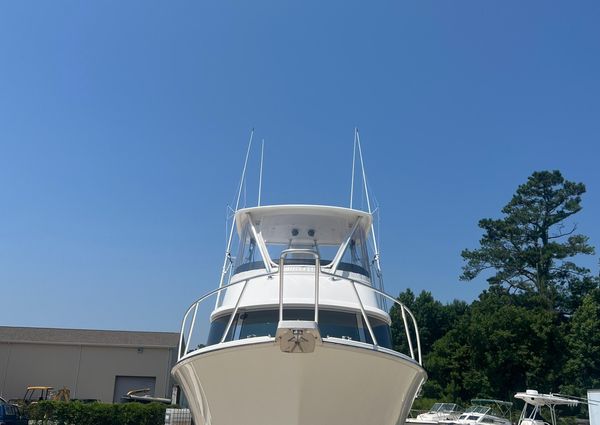 Bertram 35 Flybridge image