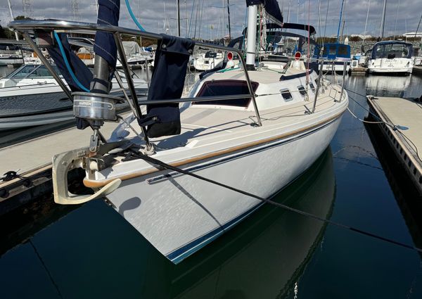 Catalina 34 image